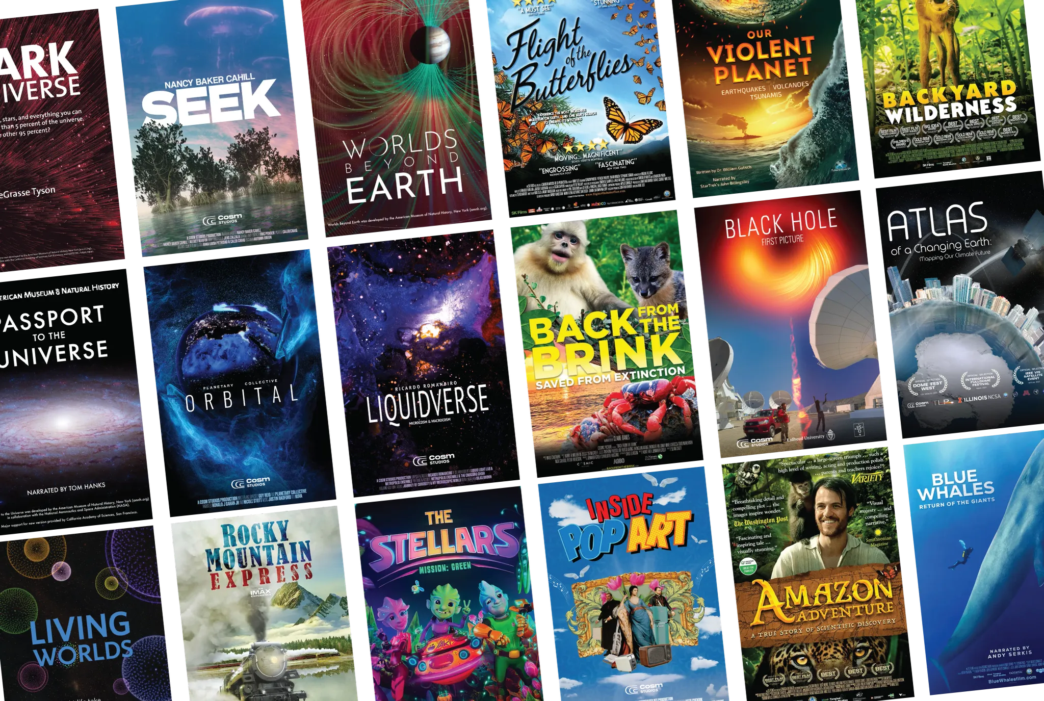 Premium Media Program