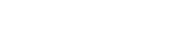 Nanoseam Logo